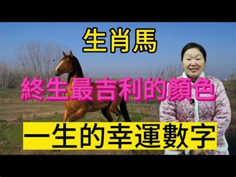 馬的幸運數字|【屬馬幸運數字】速速收藏！屬馬的專屬好運指南：幸運數字、顏。